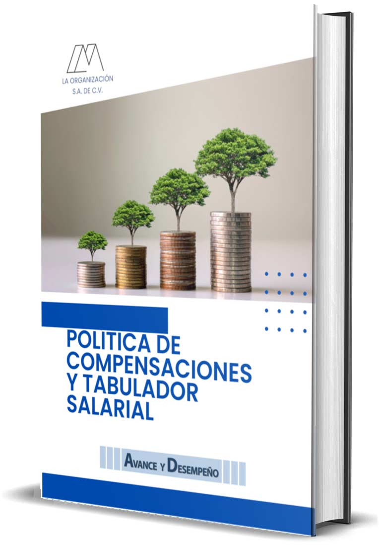 Valoración de Cargos, Tabulador y Política Salarial